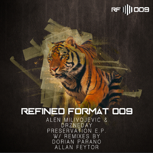 Preservation (Dorian Parano Remix)