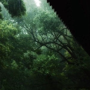 承认爱你像认输