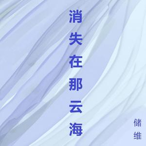 消失在那云海