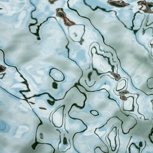 Sediento de Tus Besos