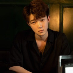 你没见过我爱你的样子