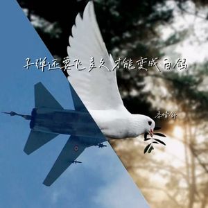 子弹还要飞多久才能变成白鸽