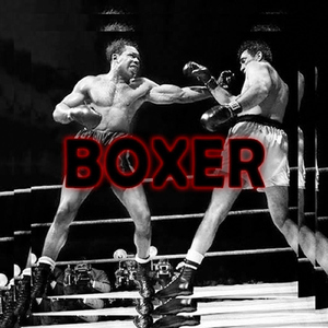 Boxer (feat. Misqued)