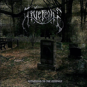 Returning to the Essence (Remastered)