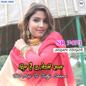 Aslam Singer SR 7473