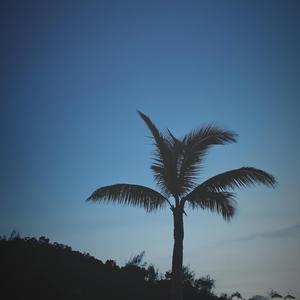 拥抱甜蜜云朵的晚风