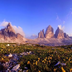 九十九步退一步