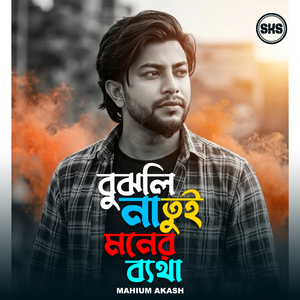 বুঝলি না তুই মনের ব্যথা