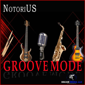 How I Love the Groove (Vocal)