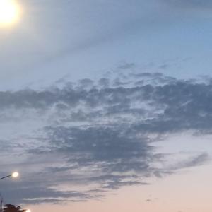 百岁之好 一言为定