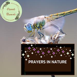 The Fire Sound for Dreamland