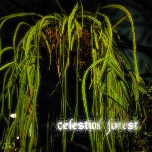 SACR3D TR33 (feat. Young Tri$to)