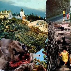 Fertilization (Month)