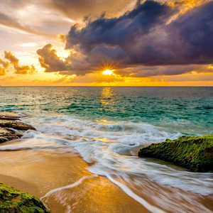 孤影凄凉泪沾裳