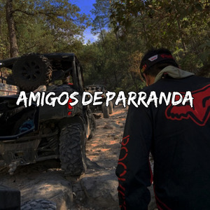 Amigos de Parranda (En Vivo)