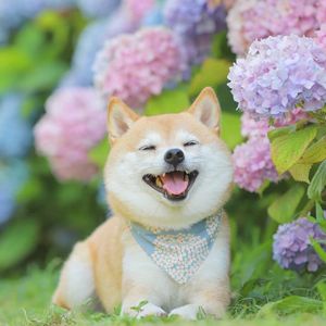 发财致富三贼组