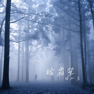 拾霜笙
