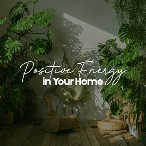 Sounds of Warm Summer Evening