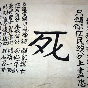 死字旗·铁血川魂
