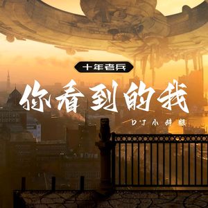 你看到的我（DJ小辞版）