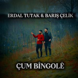 ÇUM BÎNGOLÊ (feat. Erdal Tutak Barış Çelik)