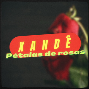Pétalas de rosa