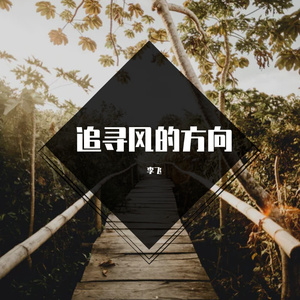 追寻风的方向