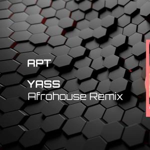 APT-YASS Afrohouse