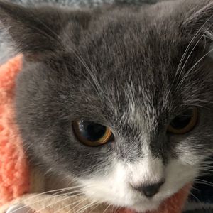 我不会爱【润杰】