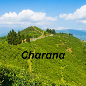 Charana