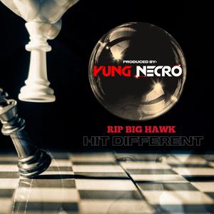 Hit Different Yung Necro