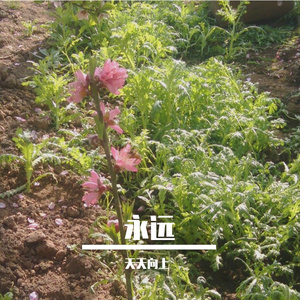 你知道我最害怕一个人天黑