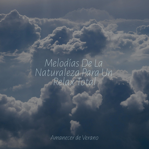 Ecos de Sueños Eufónicos