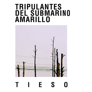 Tieso