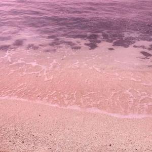 粉色温柔海（prod by GOAT）