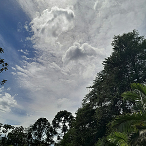 VISCONDE DE MAUÁ