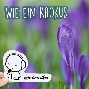 Wie ein Krokus