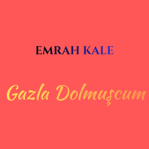 Gazla Dolmuşcum