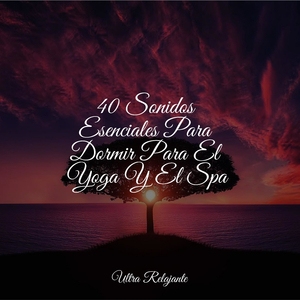 Luz De Luna Silenciosa