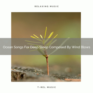 The Sounds Of Nature And Meadow