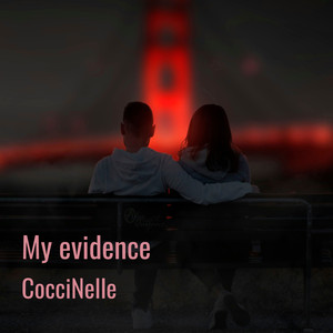 My evidence