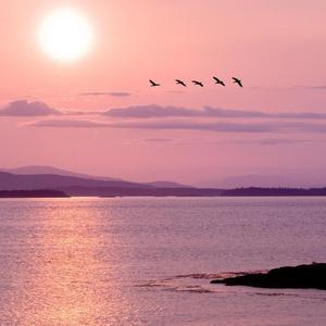 七月的风 八月的雨