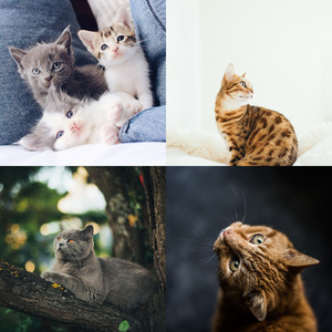 一尘不染时刻印象数