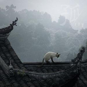 越长大越孤单remix