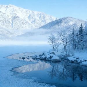 白天不懂夜的黑