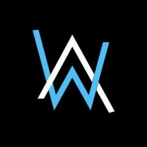 Alan Walker-Fade(HU-EY50 remix)