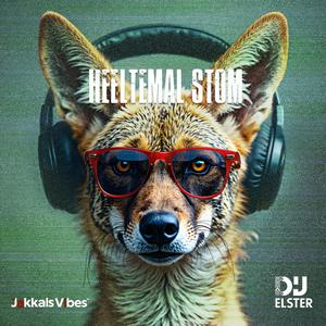 Heeltemal stom (Elster Remix)