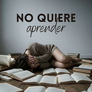 No Quiere Aprender