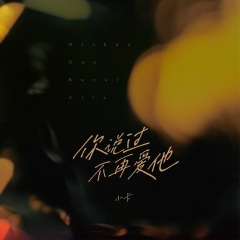 你说过不再爱他