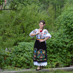 Se îmbogăţesc străinii (feat. Puiu Făgărăşanu)